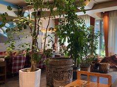 -慢丽江·云南野生菌土鸡锅(付家庄店)