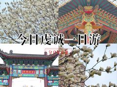 -护国法轮寺