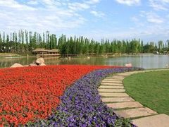 -三圣花乡旅游区