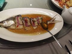 清蒸鲥鱼-美林阁