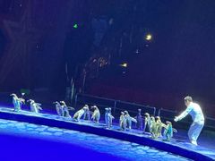 -珠海横琴长隆《卡卡虎奇遇记》