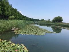 -苏州太湖湖滨国家湿地公园