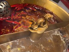-小龙翻大江文化火锅(宽窄店)