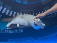 -零纪元VR体验馆·桌游(黄浦店)