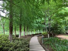 -阳澄湖半岛旅游度假区