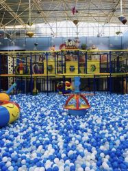 -爱丽丝奇幻乐园