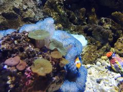 -福州罗源湾海洋世界旅游区