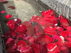 -苏州湾王焰温泉度假酒店