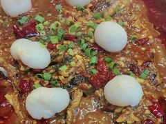 -鱼酷活鱼烤鱼(沈阳大悦城店)