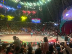 -俄罗斯国家大马戏团