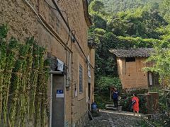 -杨家堂村
