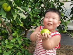 -前小桔亲子创意农场·草莓采摘·露营烧烤