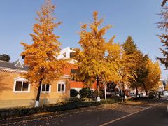 -四川大学(望江校区)