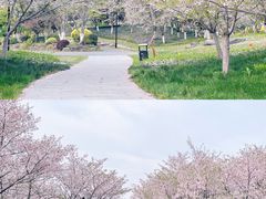 -径山花海
