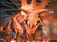 -正佳自然科学博物馆