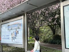 -洪湖家庭农场·团建·露营·会议