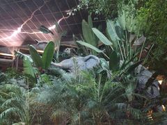 iphone_upload_pic-绿色时代大酒店