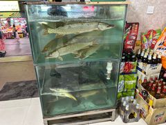 -煲来饱去冷水鱼