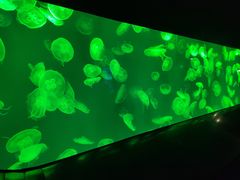 -成都浩海立方海洋公园