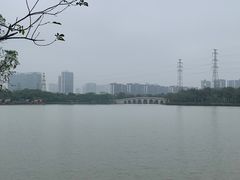 -顺峰山公园
