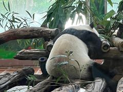 -广州动物园