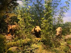 -陕西自然博物馆