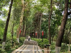 -阅江楼风景区