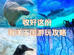-珠海长隆海洋王国