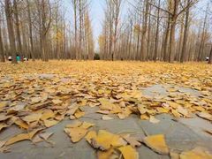 -汉景帝阳陵博物院