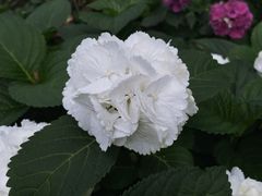 -常州古运河南大街文化旅游区-人民公园