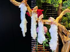 -蟹犇•帝王蟹雪蟹(陆家嘴店)