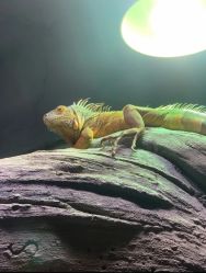 -Zoolung Zoolung动物主题公园(海信广场店)