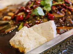 重庆豆花烤鱼-鱼乐乐(Happy Fish)