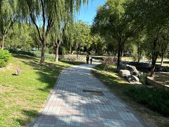 -太阳宫公园