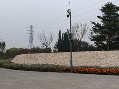 -永定河休闲森林公园