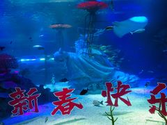 -沈阳海洋探索中心