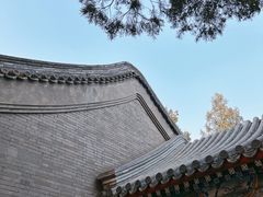 -颐和园