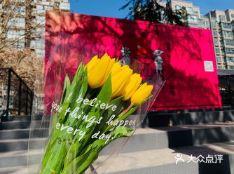 新开的3511花鸟鱼市呀