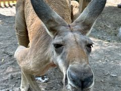 -水上乐园·欢乐世界