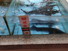 -花好悦园(瀛洲店)