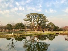 -良渚古城遗址公园