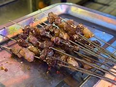 -福苗小骆驼烧烤(莲湖路店)