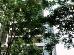 -DECAMERON十日谈(前海嘉里中心店)