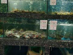 -宝燕壹号(徐汇店)