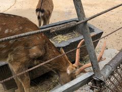 -祥源·阜阳生态乐园