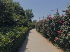 -意大利农场度假村