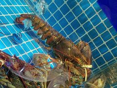 -庆赫隆融合菜馆(群力店)