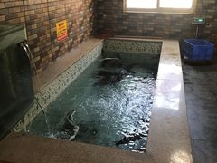 -荣德灶台鱼(圣泉寺店)