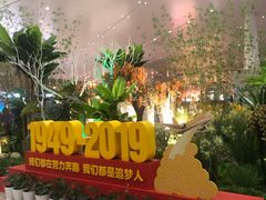 -温州龙湾国际机场