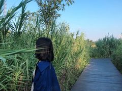 -那考河湿地公园